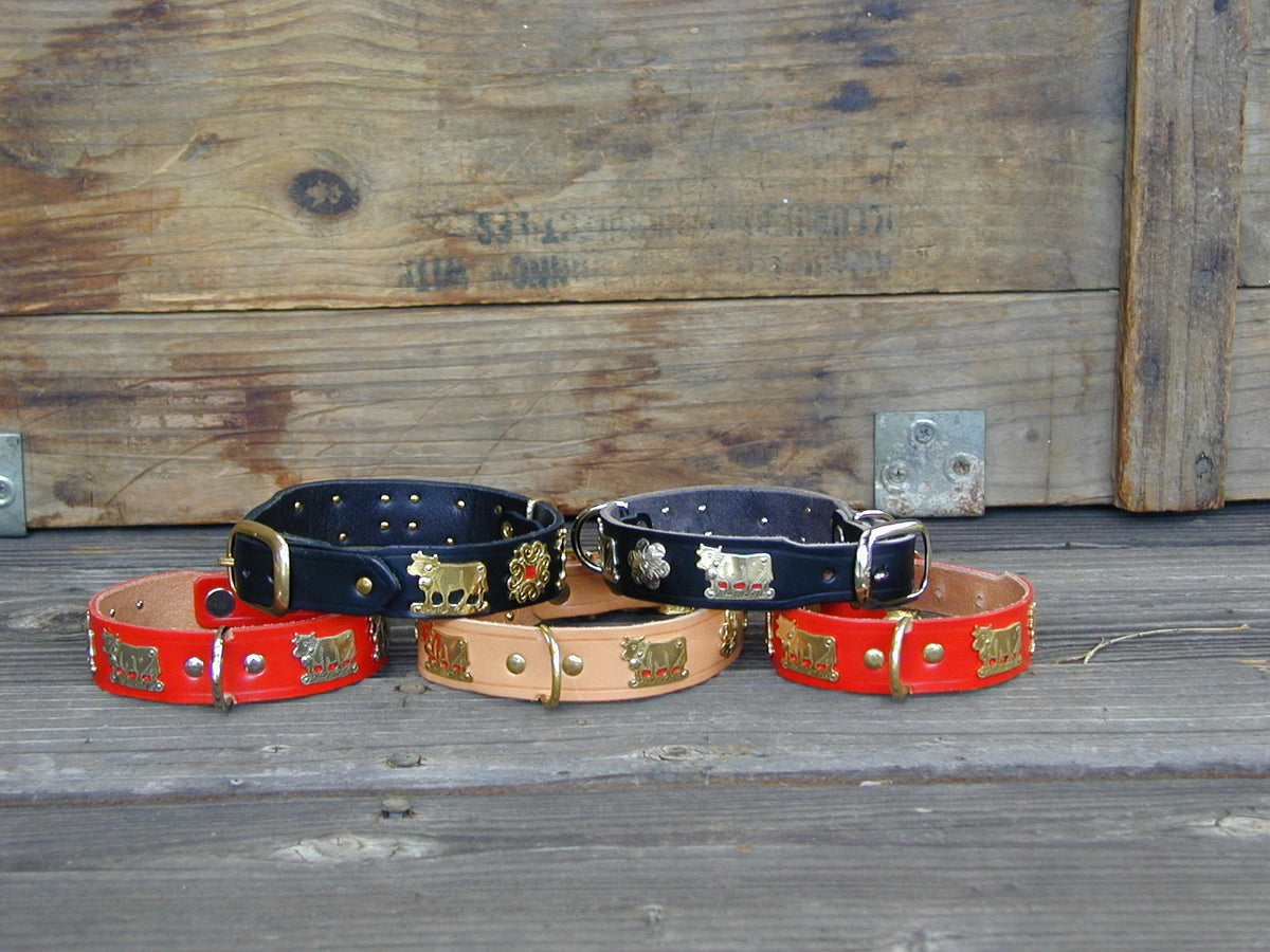 1 1/4 Medium Contemporary Swiss Dog Collar – Alpen Schatz