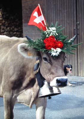 Swiss Cowbells: A Centuries-Old Tradition, by Ilias Ism